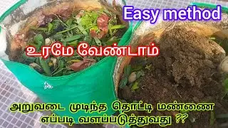 V 18 - உரம் இல்லாமல் பழைய தொட்டி மண்ணை எப்படி வளப்படுத்தலாம் | #garden #fertilizer #plants