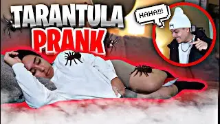 TERRIFYING TARANTULA PRANK ON WIFE!! **she freaked out**