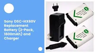 Sony DSC-HX60V Replacement Battery (2-Pack, 1600mAh) and Charger