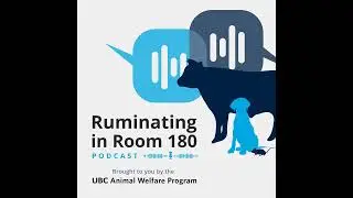 Episode 3 - Ruminations on: Veterinary Practice