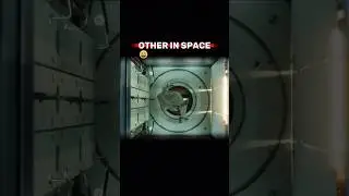 How Humans and Animals React in Space! #sun #universe