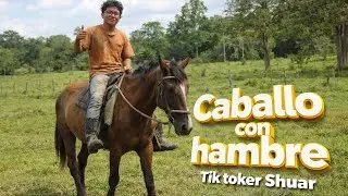 Caballo con hambre ganado con hambre tiktoker shuar