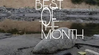 BEST OF THE MONTH | FRK WORLD | 04.25