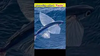 Top amazing😀 and crazy facts in urdu/hindi about animals🐸🐍 #facts #shorts