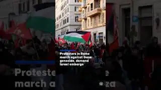 Protesters in Rome march against Gaza genocide, demand Israel embargo