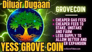 GET READY FOR THE BIG GROVE COIN SURPRISE
