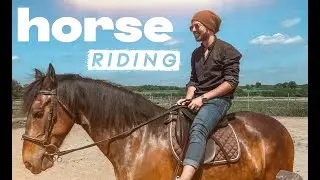 Pakistani Guy who owns multiple Cute Horses in UK | Luxury stable