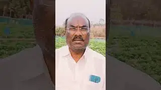 NAMMA BIDAR STRAWBERRY FARMER