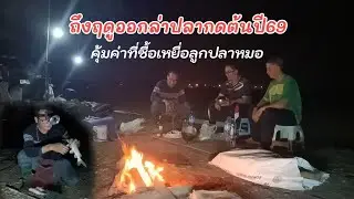 คุ้มค่าที่ซื้อเหยื่อลูกปลาหมอ ออกล่าปลากด ครั้งแรกของปี69 ทุ่งบางบาล อ.บางบาล จ.อยุธยา