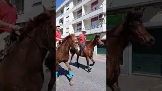 Romaria a cavalo _ Moita a Viana do Alentejo 2023