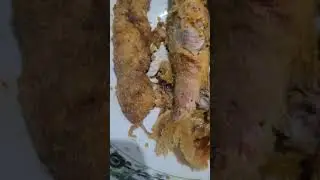 poisson rouget barbet
