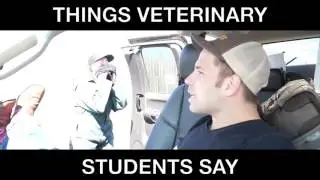 Things veterinary students say