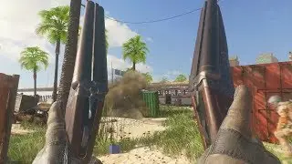 Official Call of Duty 