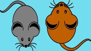 14 interesting facts about mouse