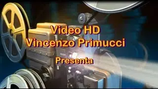Viaggio di un Palazzese