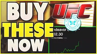 Why UFC Is The BEST Stock TO BUY June 2021 (EDR, HNST, CRSR Stock Analysis)