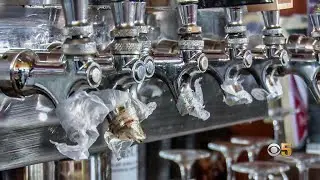 Infrequent Beer Deliveries Leave Many San Francisco Bars Tapped Out