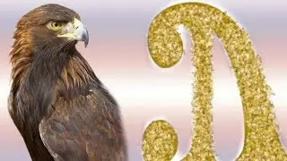 سلسلة النسر والرئيس ج ٤