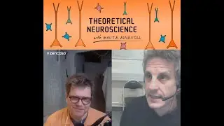 Episode #26: On the population code in visual cortex - with Kenneth Harris