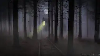 Spooky Forest ASMR Ambience