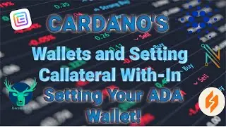 Setting Your Cardano Wallet With Callateral!