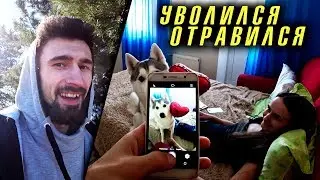 Влог: Уволился, отравился, пробую безалкогольное пиво, дома из пенопласта и подснежники