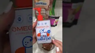 Preparing Raw Cat Food at Home | Healthy Feline Meal Prep