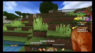 Minecraft SG with SnowHD LOL Wins
