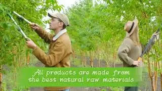 Greenpeople Specialized Plant-based Nutritional Supplement Brand 2024