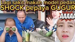 SHOCK ‼️ TANAMAN PEPAYA MATI, MAKAN MODEL PEDAS BIAR CEPET SEMBUH BAPILNYA‼️