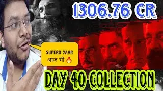 DHURANDHAR DAY 40 COLLECTION | DHURANDHAR ADVANCE BOOKING REPORT DAY 40 BOX OFFICE PREDICTION 😍