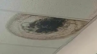 Parents, teachers believe mold in school making kids sick | NBC4 Washington