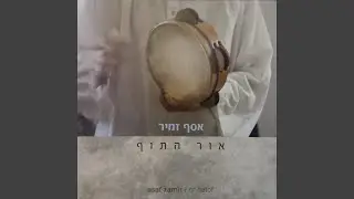 כדים