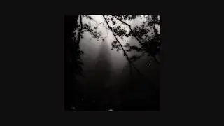 The cure - a forest (speed up)
