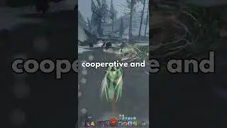 Why the Guild Wars 2 community feels so different
