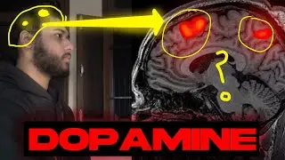 This Is Why You FAIL Dopamine Detox Everytime !!