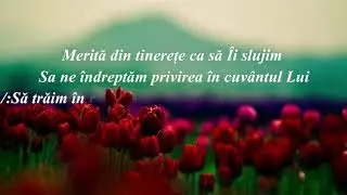 NEGATIV - MERITI DUMNEZEUL NOSTRU