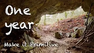 Make it Primitive: One year of primitive projects!