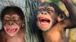 ONE YEAR of Makutu! 🐒 | From Hand-Raised Baby to Zoo Star ✅