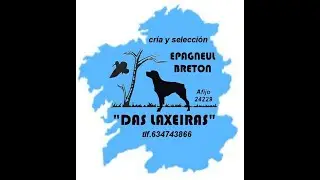 Bretones das Laxeiras 1&ordf; becada Temporada 21/22