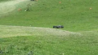 M4H00002.MP4