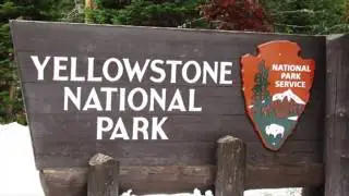 Explore Yellowstone National Park