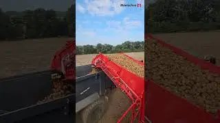 Nonstop roden mit der Grimme EVO 280