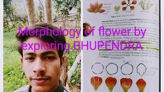 flower and its parts morphology  of flowering plant  , understand concept with specimen 🎋🍃🌱
