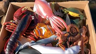 Ultimate Sea Animal Box! 🐋 Learn Ocean Creature Names with Fun Toys for Kids 🦈