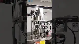 Chicken sauce sachet packaging machinery | 4 sides sealing pouch packing machine
