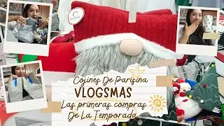 ✨PRIMERAS COMPRAS DE LA TEMPORADA 😍 Cojines De 