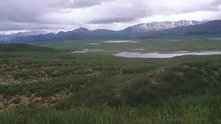 MaClaren Summit,Denali Highway, Alaska 26/06/25