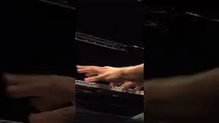 Virtuoso Schumann Passage
