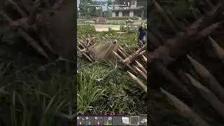 Can Wooden Spikes Actually Kill Radiated Zombies?